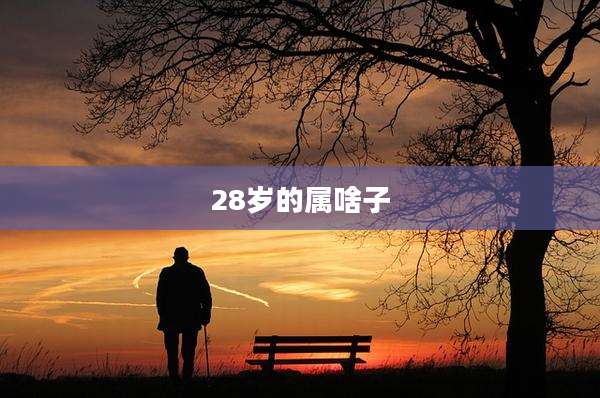 28岁的属啥子