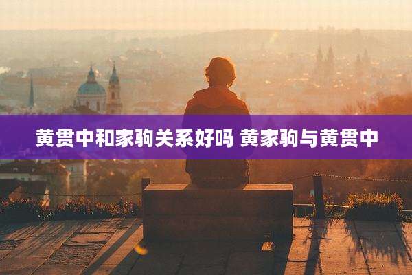 黄贯中和家驹关系好吗 黄家驹与黄贯中