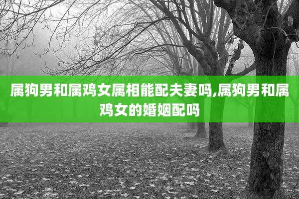 属狗男和属鸡女属相能配夫妻吗,属狗男和属鸡女的婚姻配吗