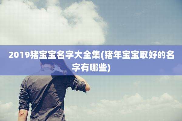 2019猪宝宝名字大全集(猪年宝宝取好的名字有哪些)