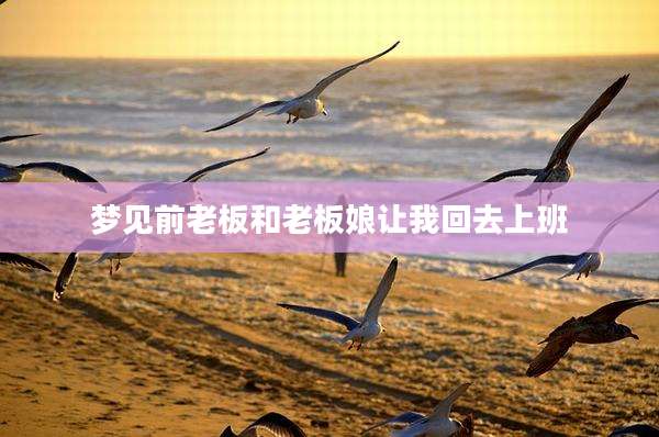 梦见前老板和老板娘让我回去上班