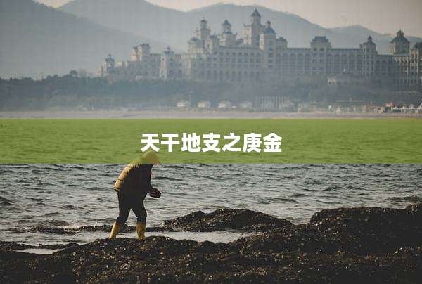 天干地支之庚金