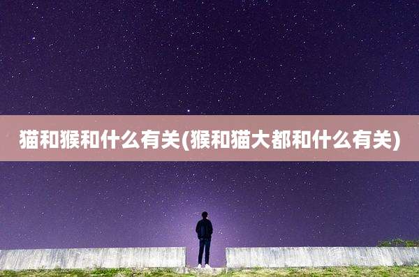 猫和猴和什么有关(猴和猫大都和什么有关)