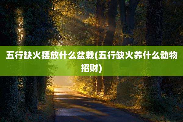 五行缺火摆放什么盆栽(五行缺火养什么动物招财)