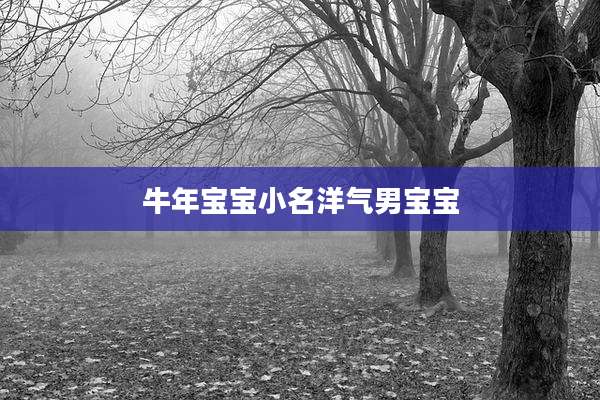 牛年宝宝小名洋气男宝宝