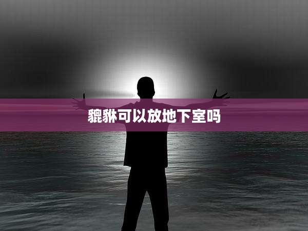 貔貅可以放地下室吗