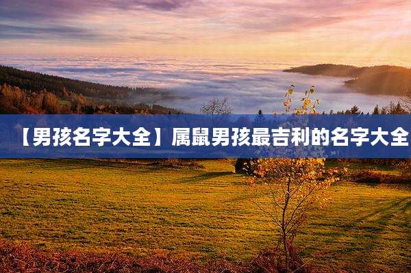 【男孩名字大全】属鼠男孩最吉利的名字大全