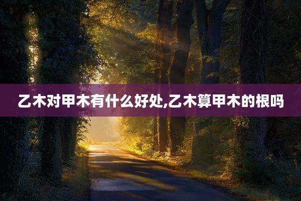 乙木对甲木有什么好处,乙木算甲木的根吗