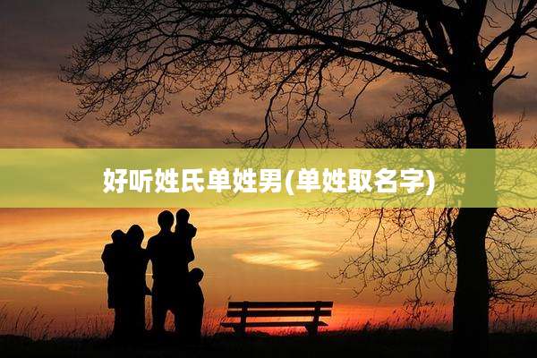 好听姓氏单姓男(单姓取名字)