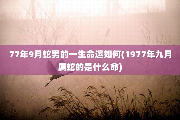 77年9月蛇男的一生命运如何(1977年九月属蛇的是什么命)