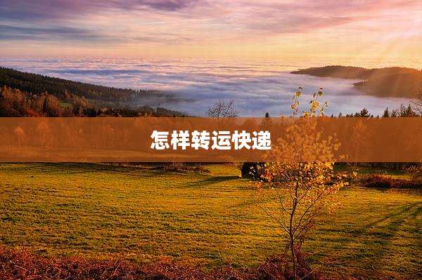 怎样转运快递