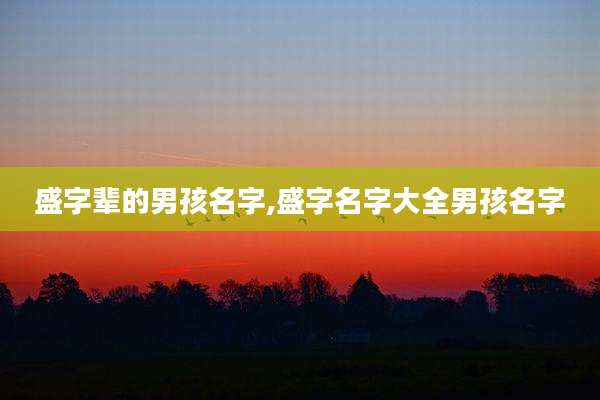 盛字辈的男孩名字,盛字名字大全男孩名字