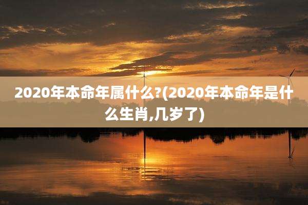 2020年本命年属什么?(2020年本命年是什么生肖,几岁了)