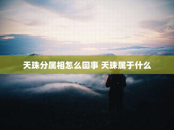 天珠分属相怎么回事 天珠属于什么