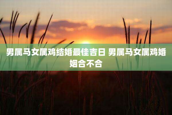 男属马女属鸡结婚最佳吉日 男属马女属鸡婚姻合不合