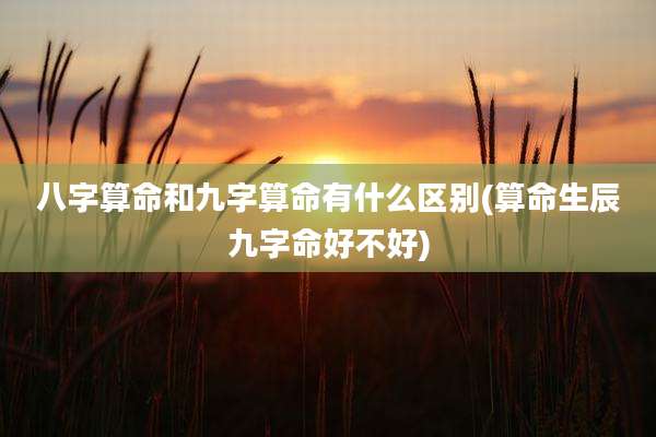 八字算命和九字算命有什么区别(算命生辰九字命好不好)