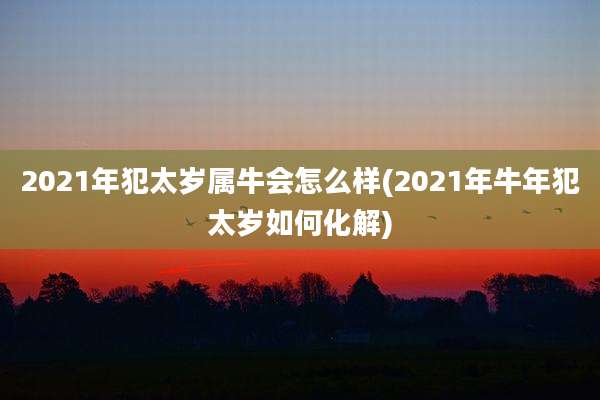 2021年犯太岁属牛会怎么样(2021年牛年犯太岁如何化解)