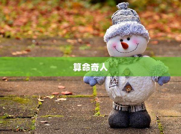 算命奇人
