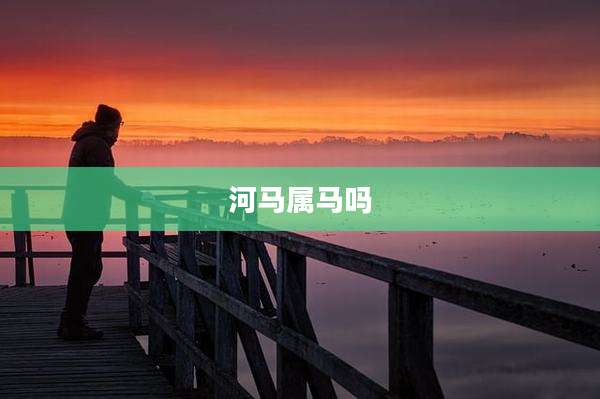 河马属马吗