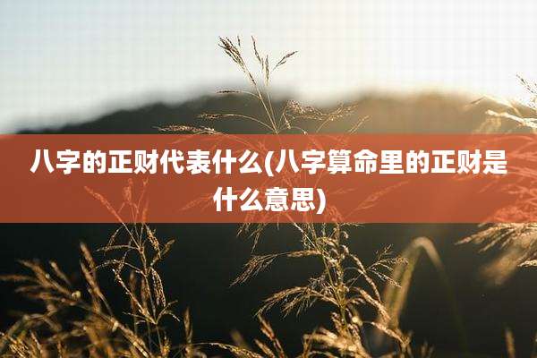 八字的正财代表什么(八字算命里的正财是什么意思)