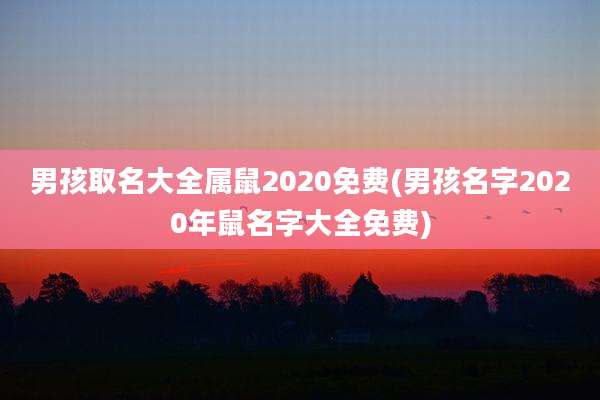 男孩取名大全属鼠2020免费(男孩名字2020年鼠名字大全免费)