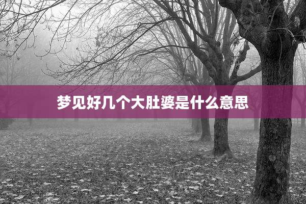 梦见好几个大肚婆是什么意思