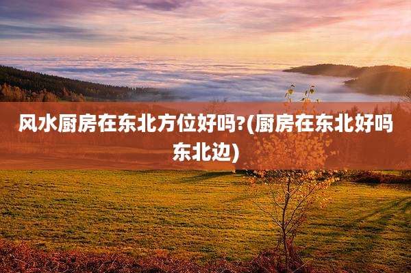 风水厨房在东北方位好吗?(厨房在东北好吗东北边)