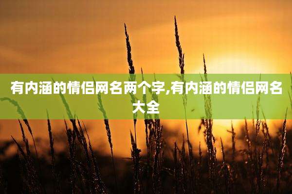 有内涵的情侣网名两个字,有内涵的情侣网名大全