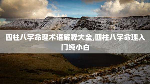 四柱八字命理术语解释大全,四柱八字命理入门纯小白