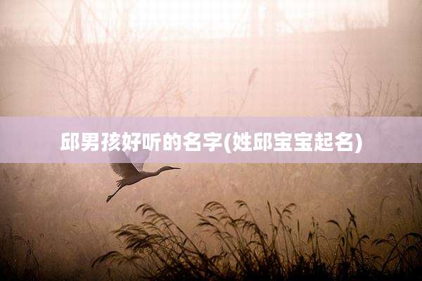 邱男孩好听的名字(姓邱宝宝起名)