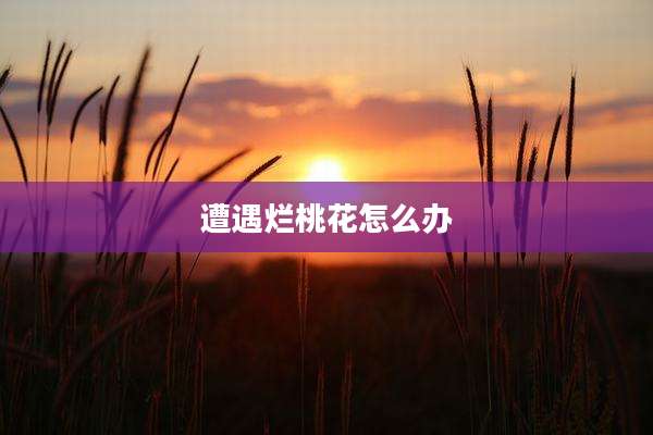 遭遇烂桃花怎么办