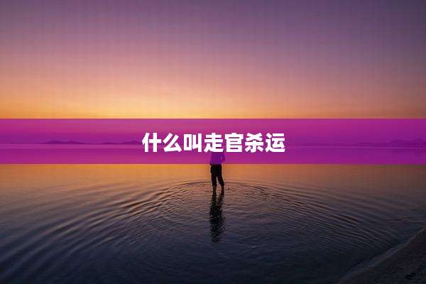 什么叫走官杀运