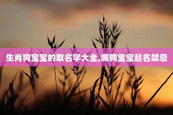 生肖狗宝宝的取名字大全,属狗宝宝起名禁忌