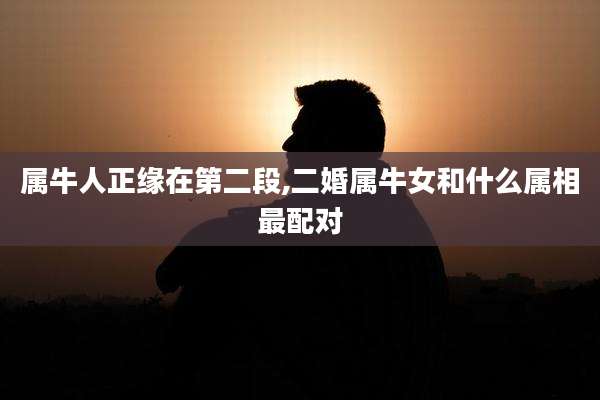 属牛人正缘在第二段,二婚属牛女和什么属相最配对