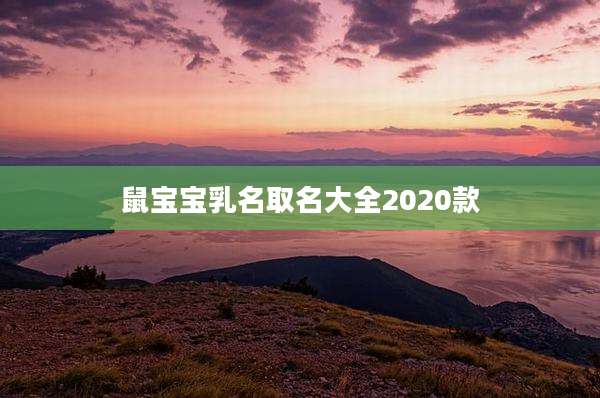 鼠宝宝乳名取名大全2020款