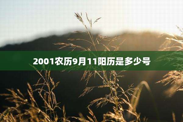 2001农历9月11阳历是多少号