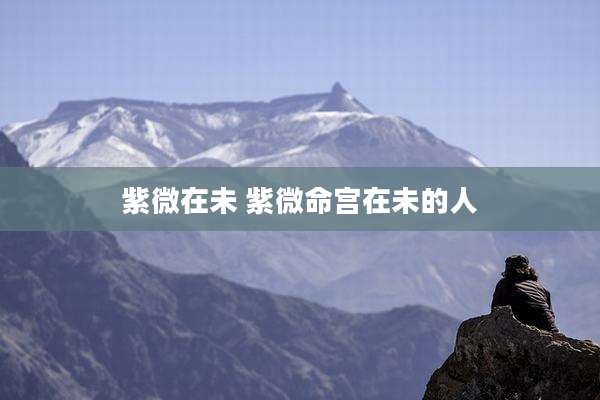 紫微在未 紫微命宫在未的人