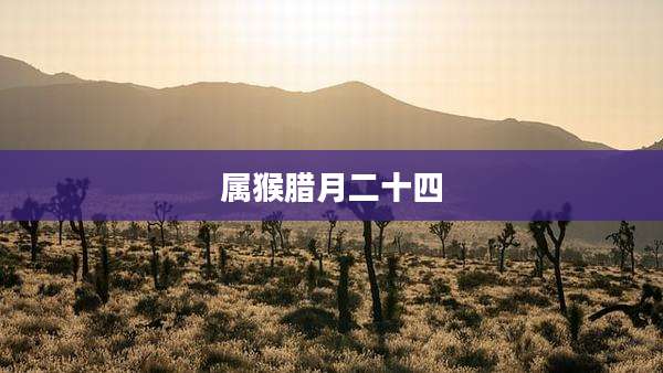属猴腊月二十四