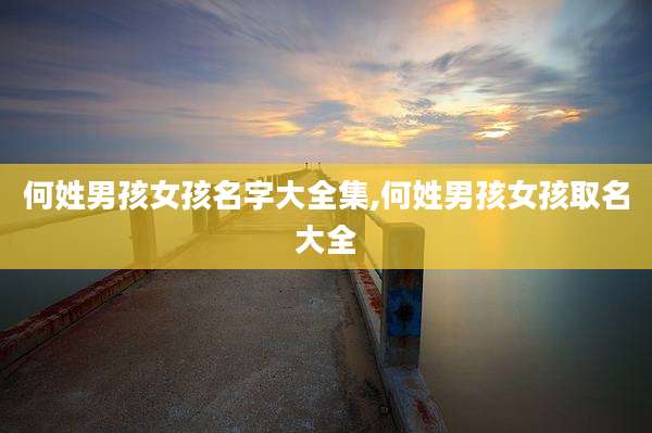 何姓男孩女孩名字大全集,何姓男孩女孩取名大全