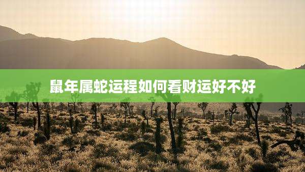 鼠年属蛇运程如何看财运好不好