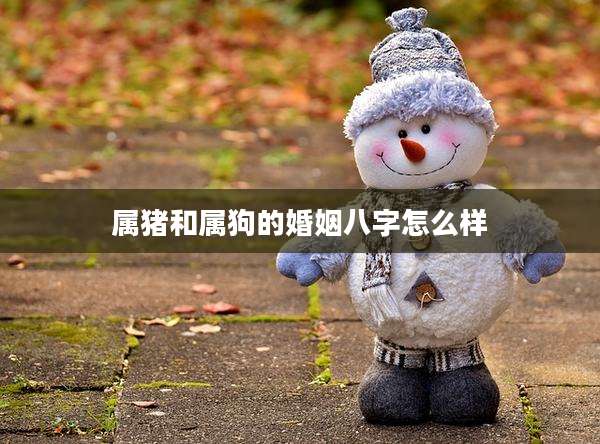 属猪和属狗的婚姻八字怎么样