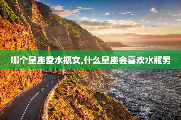 哪个星座爱水瓶女,什么星座会喜欢水瓶男
