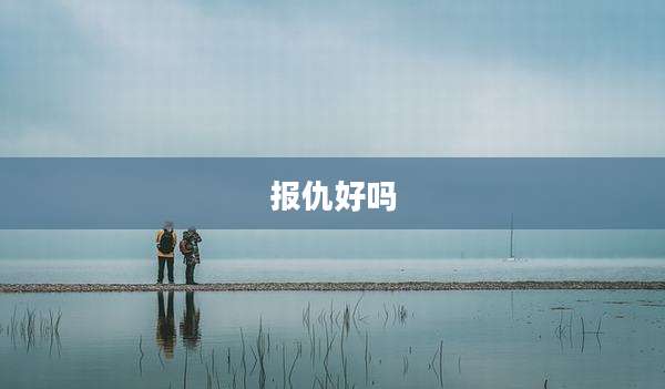 报仇好吗