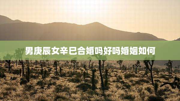 男庚辰女辛巳合婚吗好吗婚姻如何