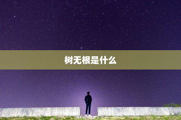 树无根是什么