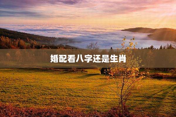 婚配看八字还是生肖