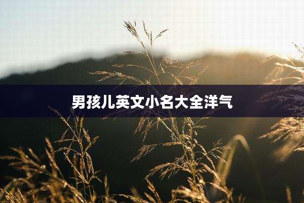 男孩儿英文小名大全洋气