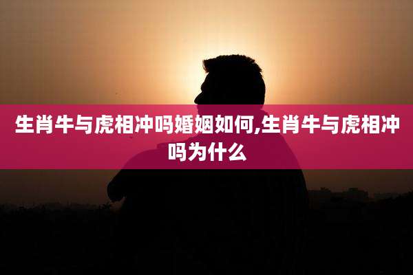 生肖牛与虎相冲吗婚姻如何,生肖牛与虎相冲吗为什么