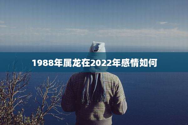 1988年属龙在2022年感情如何