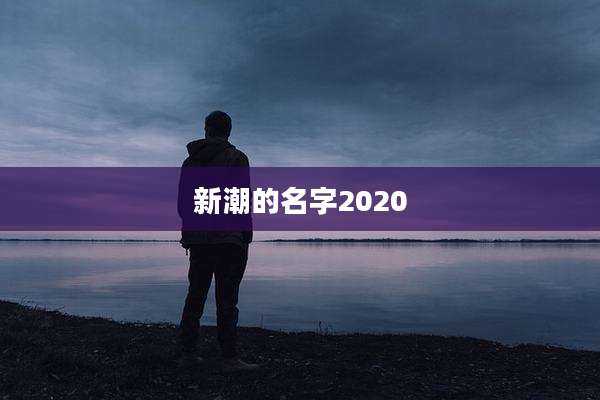 新潮的名字2020